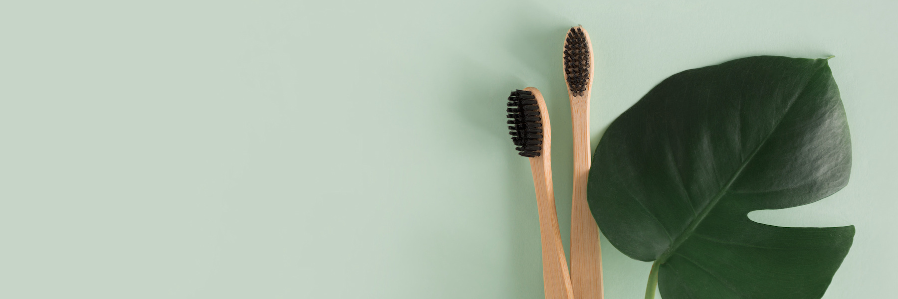 Preventive Dentistry | Dentist